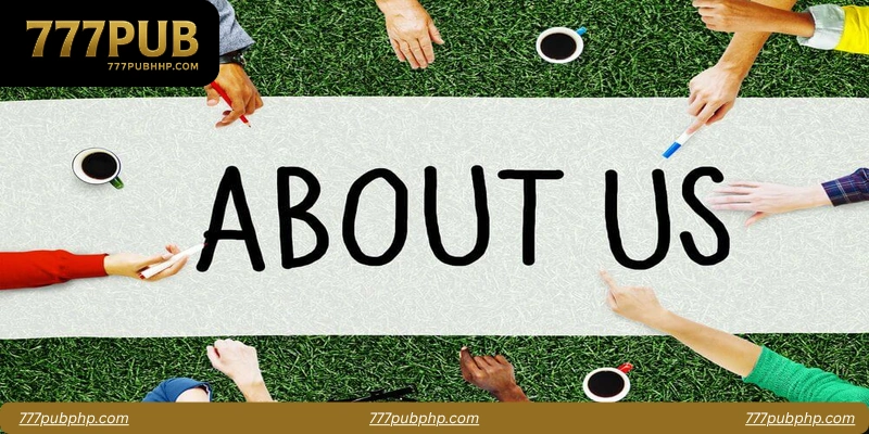 Why Choose 777pub?
