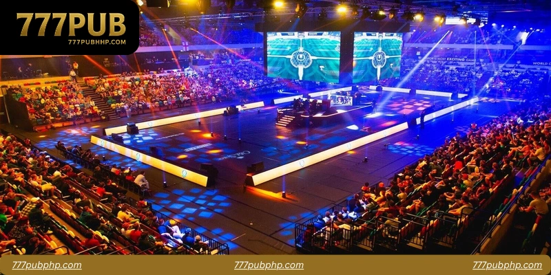 Why Arenas Elevate the Betting Experience