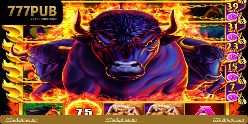 Introduction to Bull Bull Supreme