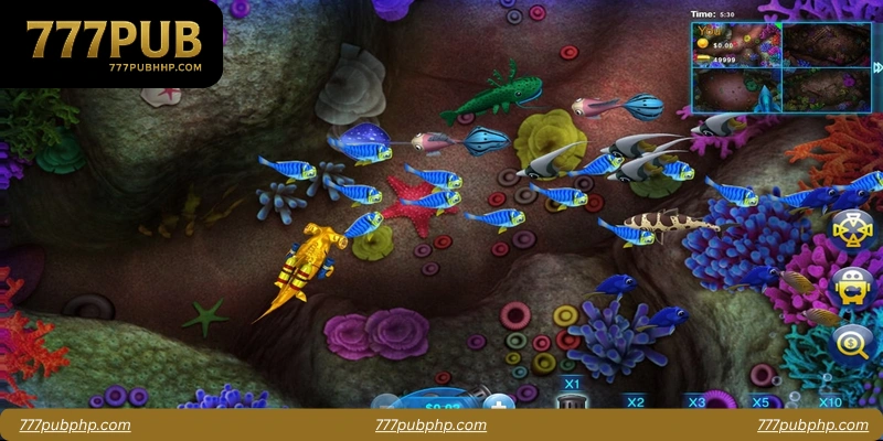 Comparing Fish Shooting Game Types