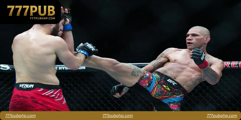 Understanding MMA Knockout Bets