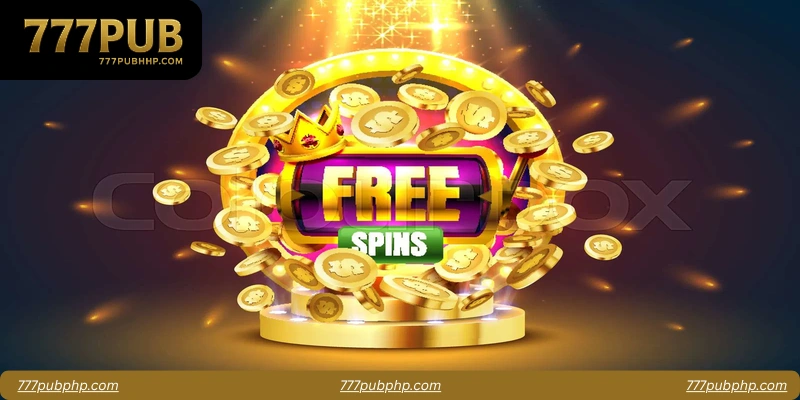 FAQs About Night Owl Free Spins