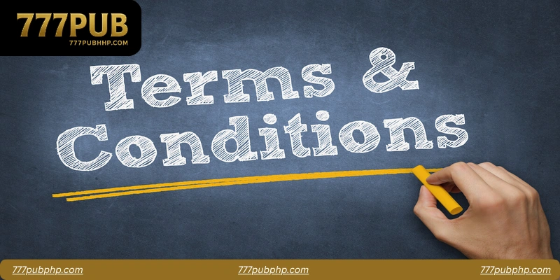 Key Components of 777pub Terms and Conditions