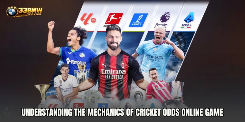 Understanding the Mechanics of Cricket Odds Online Game